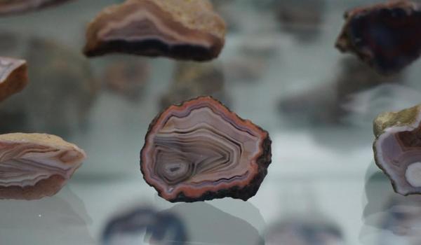 Going. | Dolnośląskie agaty w Muzeum Ziemi - Muzeum Ziemi Wydziału Nauk Geograficznych i Geologicznych UAM w Poznaniu