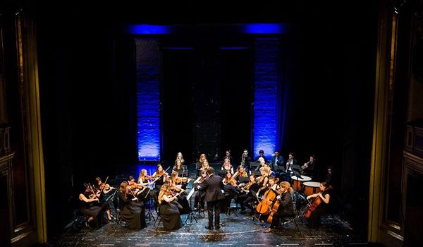 Going. | Muzykołajki: smyki dla smyków - Teatr Polski w Poznaniu - Galeria