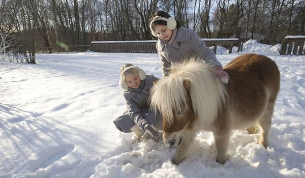 Going. | Filmowa niedziela / Zimowa przygoda Jill i Joy - Teatr Stary w Lublinie Profil Oficjalny