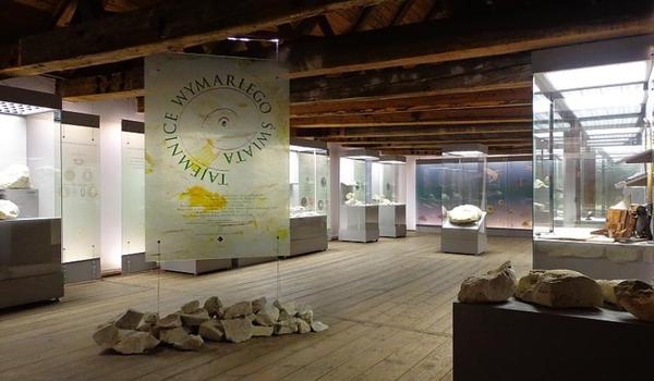 Going. | Wystawa "Tajemnice Wymarłego Świata" - Muzeum Przyrodnicze w Kazimierzu Dolnym