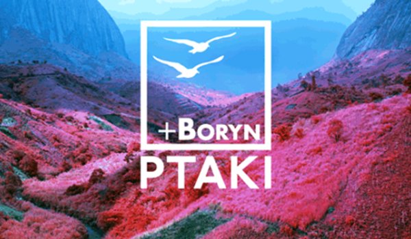 Going. | Ptaki (Ft. Boryn) - Po Raz Ostatni - BarKa